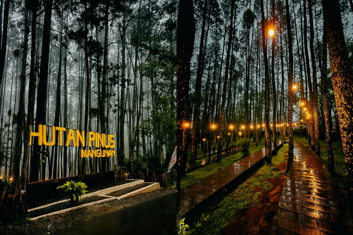 Hutan Pinus Mangunan